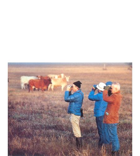 Grupo interdisciplinar llevando a cabo un trabajo de campo.